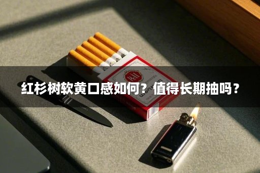 红杉树软黄口感如何？值得长期抽吗？